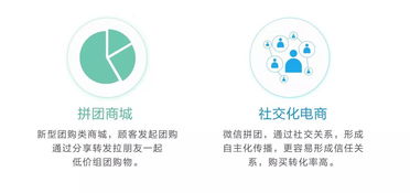 突發重大政策信號 未來經濟布局將迎大規模調整，信息咨詢服務迎來新機遇